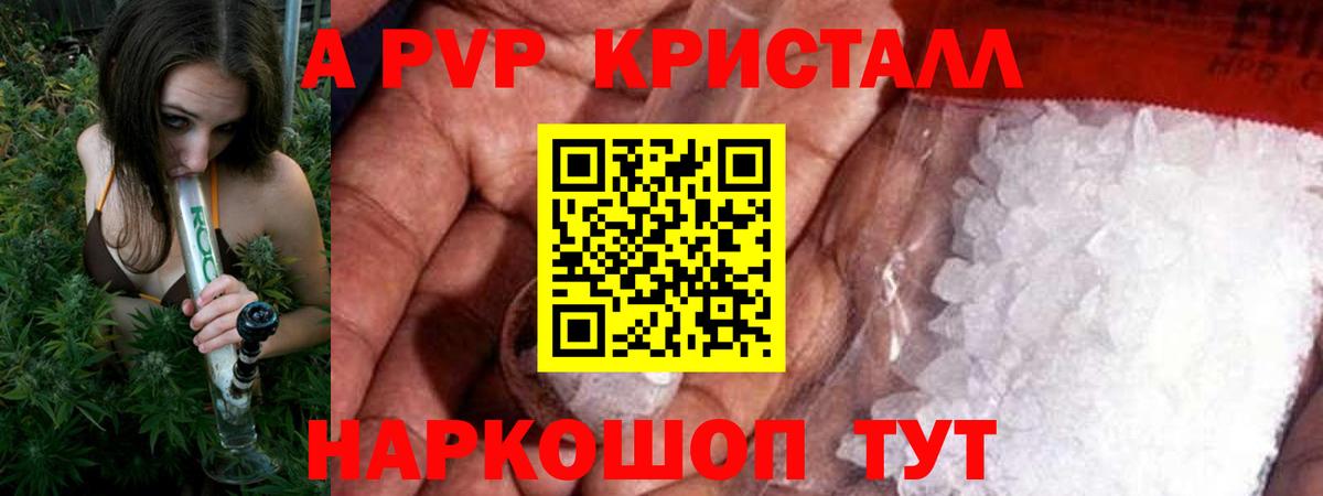 Alfa_PVP СК Тосно